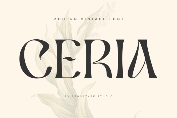 Ceria: The Stylish Display Font for Modern Branding