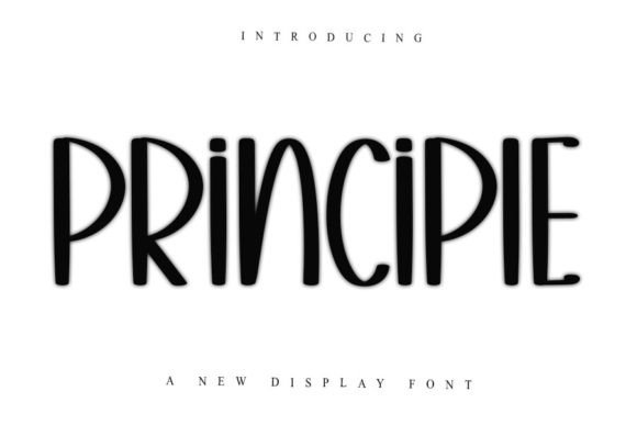 Principle Font for Web Design
